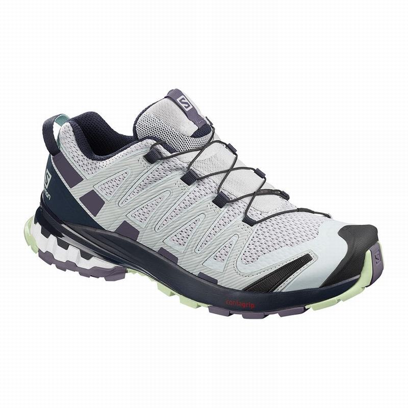 Chaussures De Trail Running Salomon Femme Bleu / Violette - Salomon XA PRO 3D V8 - France (9743-RBOZ